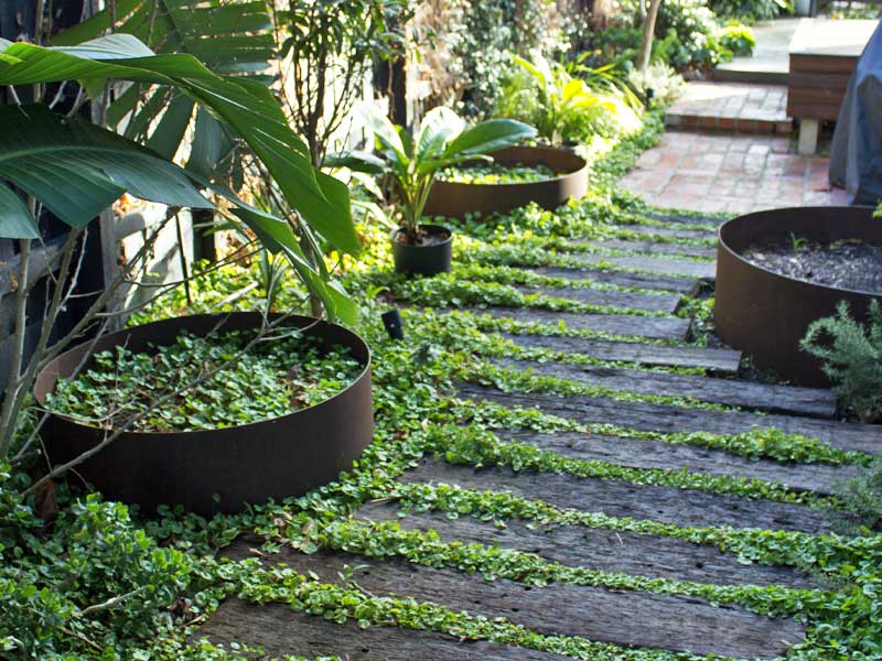 10 Garden Path Ideas to Enhance Your Outdoor Space