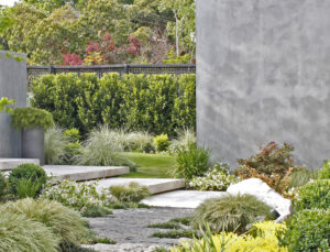 Ploterra - Landscape Design and Construction