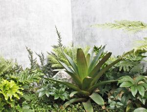 Kew Project - Ploterra - Landscape Design and Construction