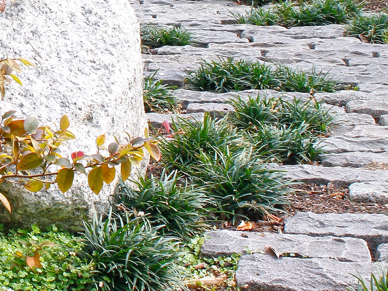 Ploterra - Landscape Design and Construction