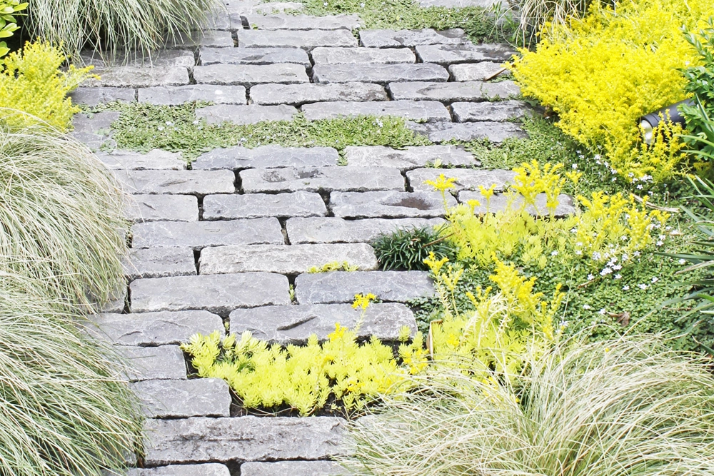 10 Garden Path Ideas to Enhance Your Outdoor Space