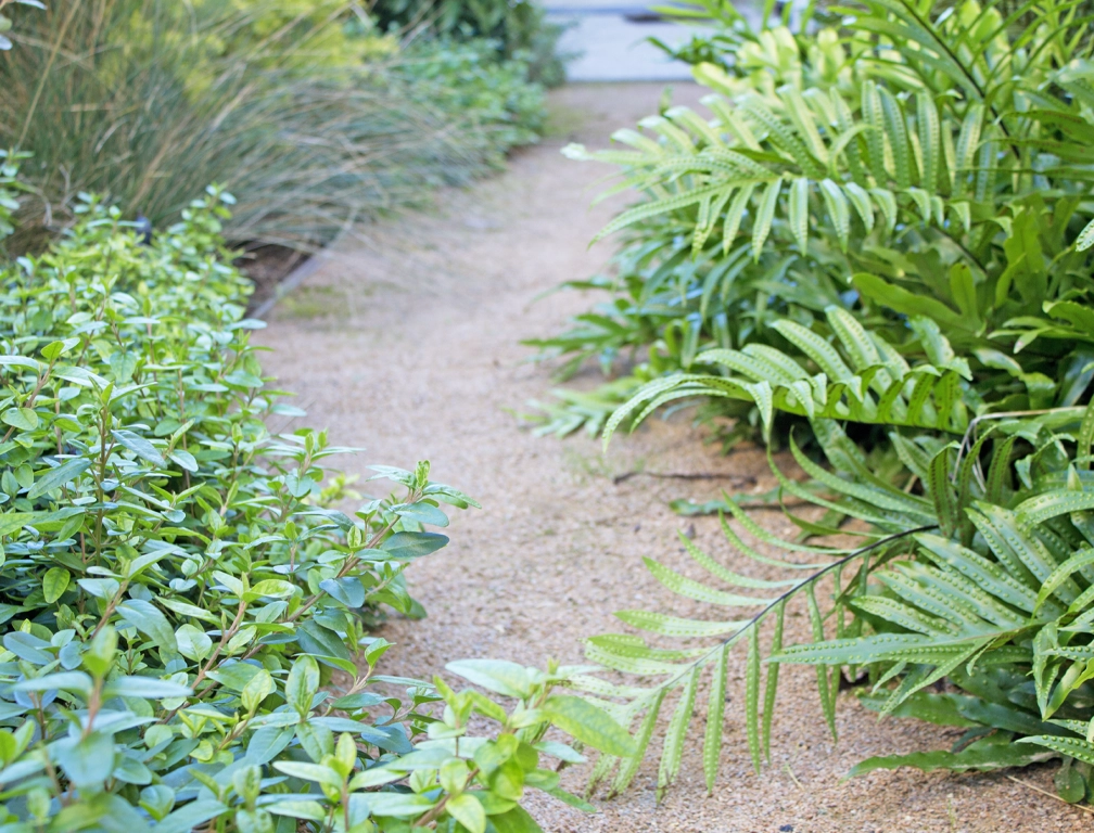 10 Garden Path Ideas to Enhance Your Outdoor Space