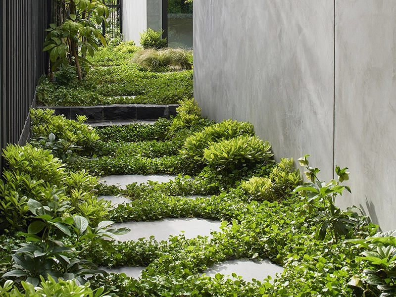 10 Garden Path Ideas to Enhance Your Outdoor Space