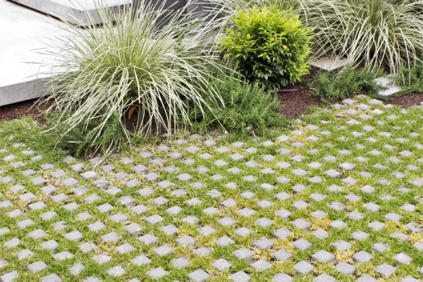 10 Garden Path Ideas to Enhance Your Outdoor Space